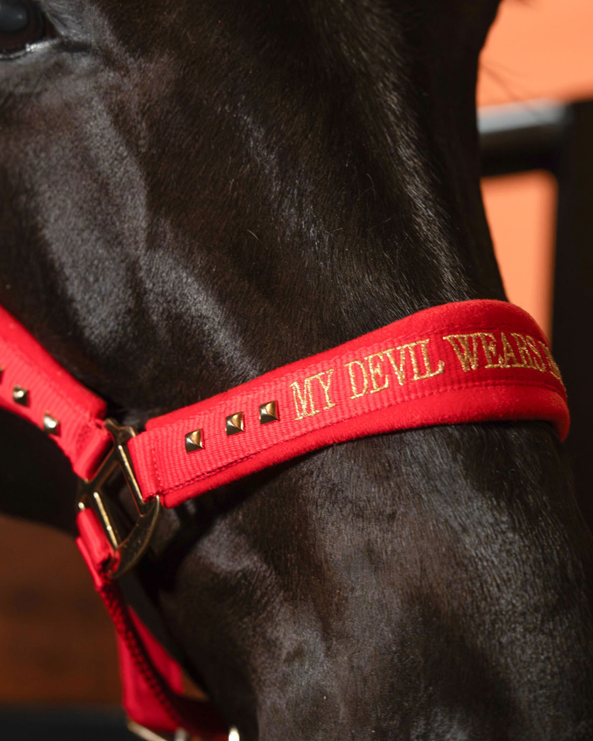 Halster IRHDevil