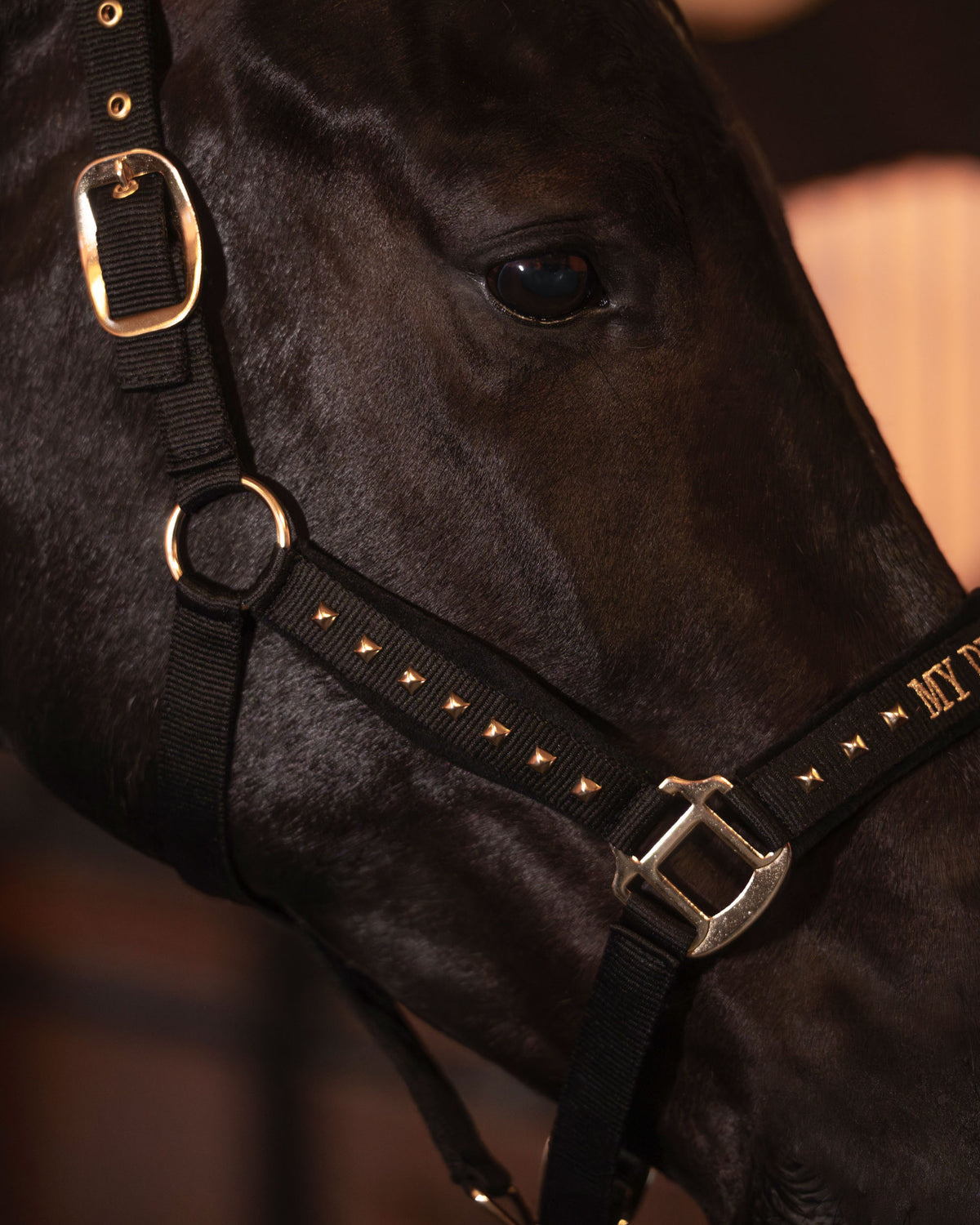 Headcollar IRHDevil